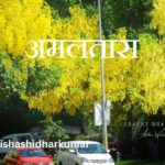 अमलतास