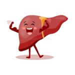 cute-cheerful-cartoon-character-healthy-human-liver-human-anatomy-medical-concept-illustration-icon-vector-cute-cheerful-278701355